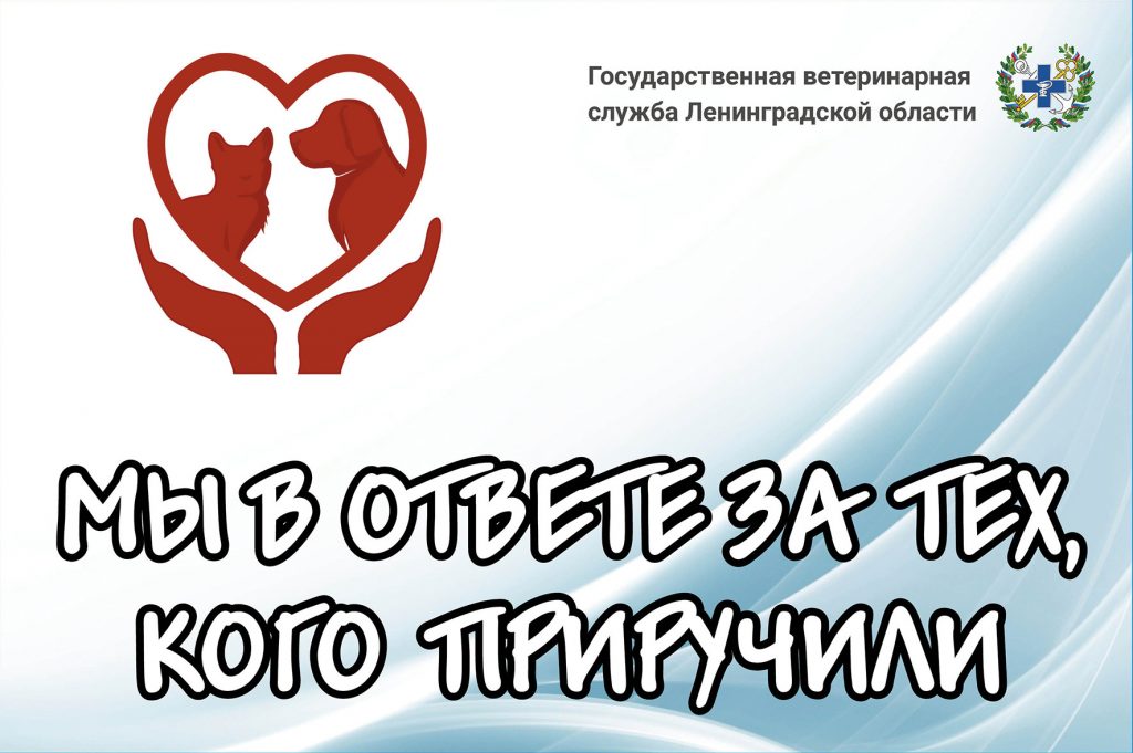 Флажок 150х100 мм